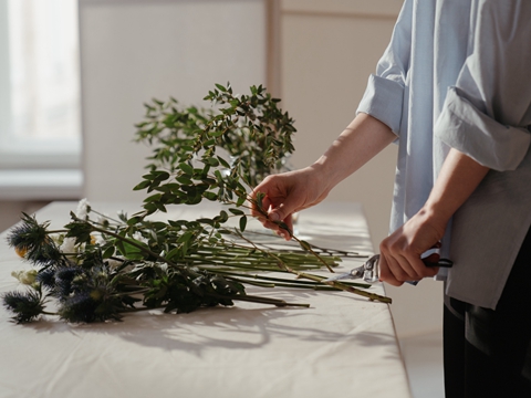 德國(guó)包裝法注冊(cè)全流程:2025年新指南 德國(guó)包裝法注冊(cè)全流程:2025年新指南